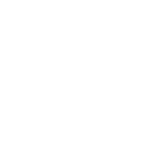 Logo zenius blanco